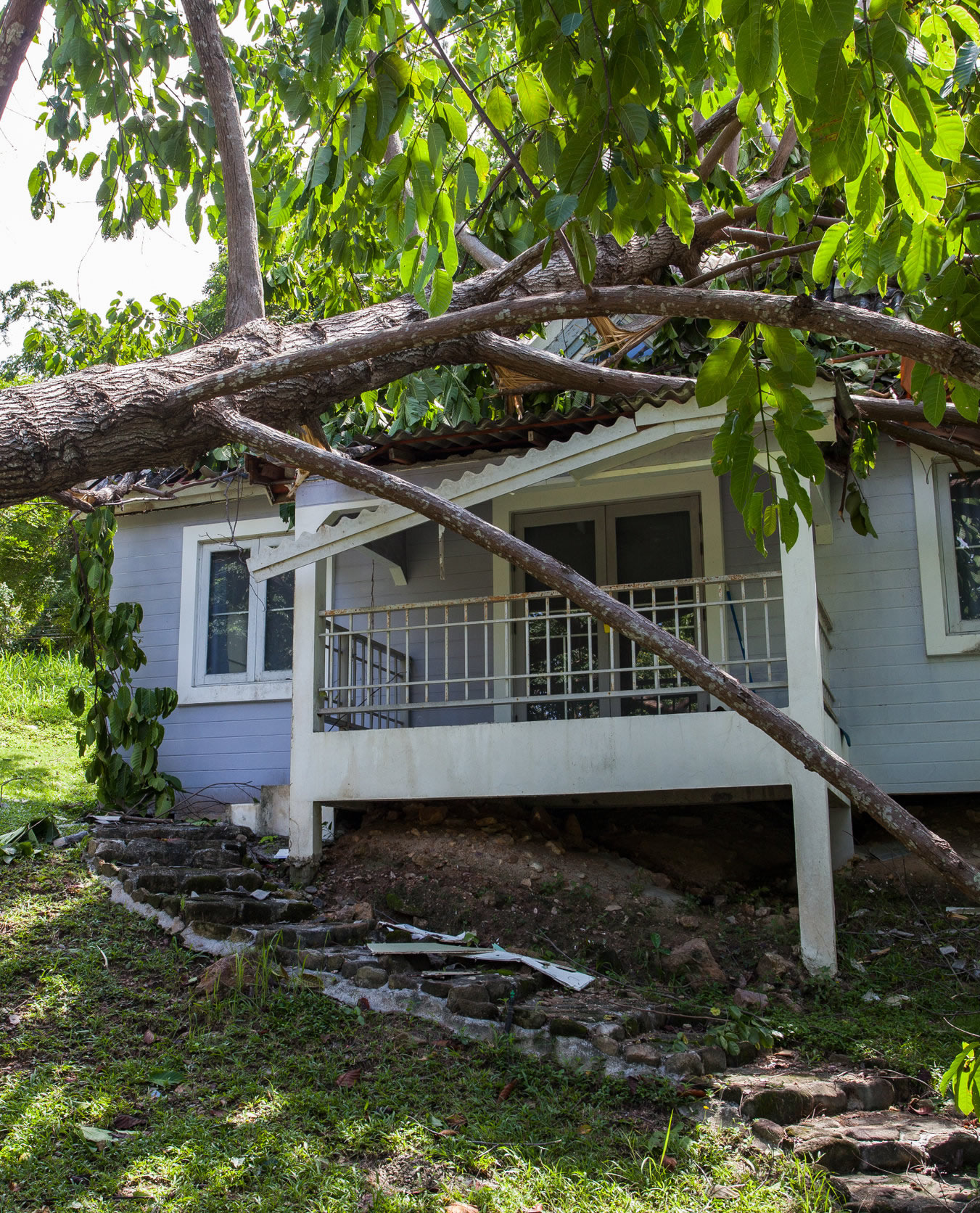 Storm Damage Repair